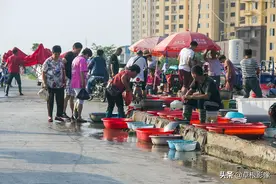 城里人眼中的河鲜，在农村捉到也不要：不知怎么做好吃图片