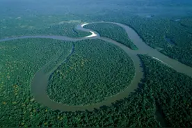 动物的天堂却是人类禁区，亚马逊雨林里面有什么，为何如此恐怖？图片