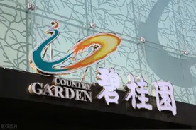 碧桂园的全产业链图片