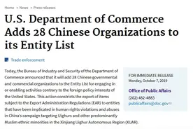 大疆禁飞、TikTok 禁装，视野之外的“华为”们如何出海？图片