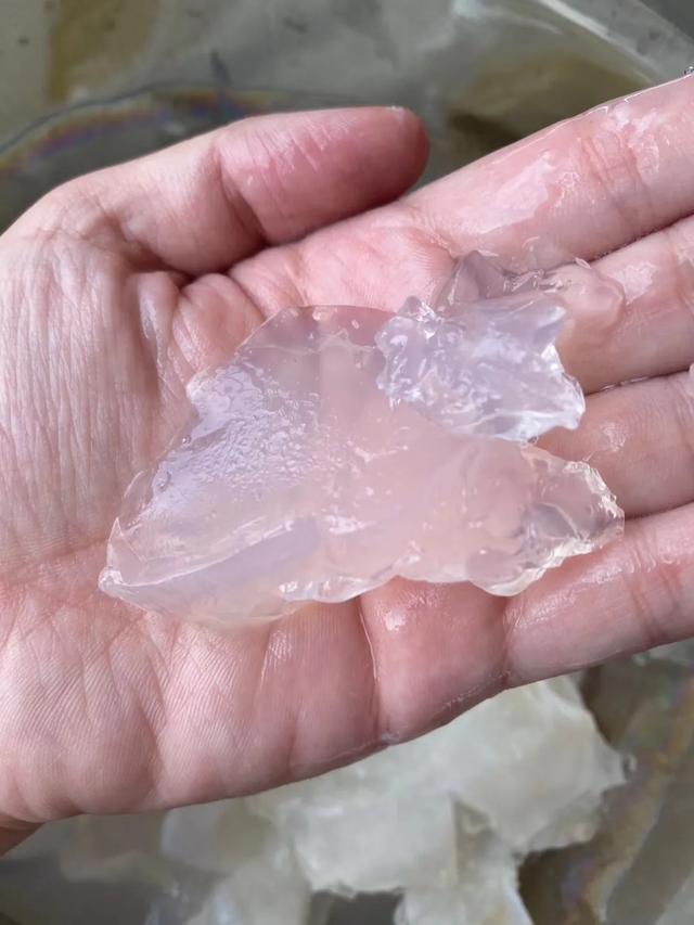 南美特大蝴蝶花胶 2026年蝴蝶花胶多少钱一斤 南美特大蝴蝶花胶 2026年蝴蝶花胶多少钱一斤