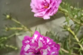 腿部保健法图片