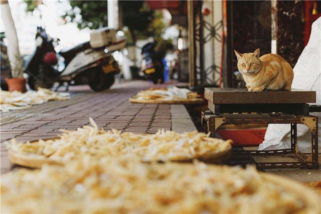 花胶的口感为什么脆 2026年花胶为什么是脆的