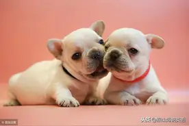 干货：日常生活英语单词，一天记住1000个，整理得太全了！图片