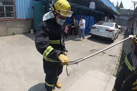 太吓人了！四川多地惊现蛇出没 蛇为什么会钻进家呢？2个因素引起图片