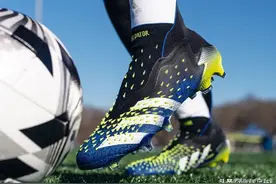 一次性看完整个阿迪达斯Predator猎鹰完整史（建议收藏）图片