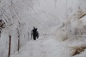 抱团取暖的故事图片