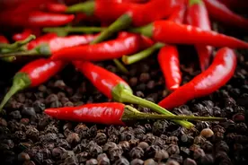 23个冷知识，可能让人产生怀疑，但却真实存在着图片