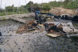 连跌2个月，亩赚30万元到濒临亏本，养殖场还得拆，渔民：全没了图片