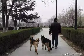 全城扩散！临沂官方公布举报投诉电话！这些行为将被重罚！图片