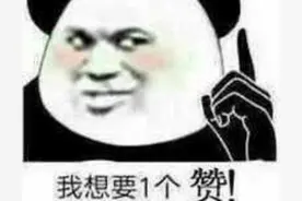 海南椰岛与海南椰树的前世今生图片