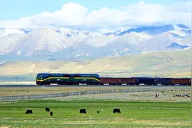 西藏的青藏铁路，为何都是单轨而不是双轨的？听听专家怎么说视频封面