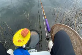 钓鱼不要跟风，大多没啥用，资源是学不来的图片