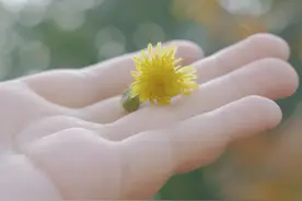 往后余生，爱恨清零，聚散随意图片