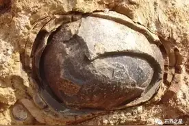 捡到这些石头能让你暴富图片