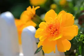 人生在世，别和这三种人纠缠，没必要图片