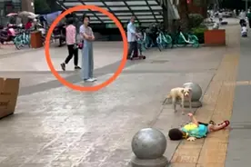 90后开启“佛系带娃”模式，擅长喝奶茶“看戏”，成带娃界的清流图片