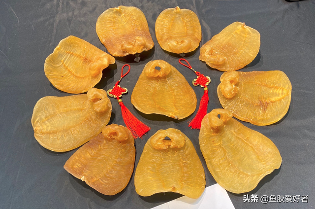 小土赤嘴鳘鱼胶 小赤嘴鳘鱼胶的功效