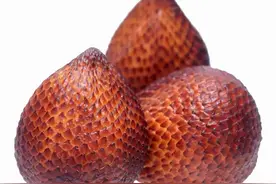 蛇皮果，10大奇葩水果之一图片