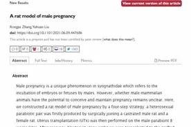 公鼠成功怀孕生崽，男人生孩子还远吗？图片