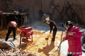 农民大哥种30亩地养10头牛，年赚10万成赔10万，啥情况图片