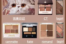 大地色眼影盘合集图片