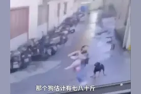 烈性犬未牵绳飞奔扑向小女孩，妈妈一把抱起女孩闪躲，母亲：依法处置犬只图片