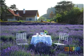 60年密云水库愈加迷人！看全景，吃鲜鱼，宿湖畔，密云水库周边游玩指南来啦！图片