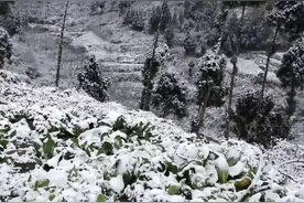 这次寒潮真猛！桂林气温最低-10℃，资源全州灌阳等县下雪图片