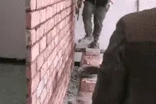 搞笑动图：我只是丢个垃圾图片