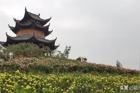 国庆节期间，阜阳本地景区文旅活动丰富多彩，涉及市科技馆、太和县博物馆、海洋公园、植物园、魔幻之都等图片