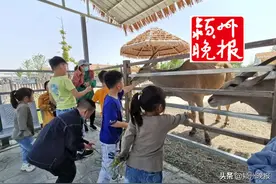 免票！阜阳多景区向教师发放福利图片
