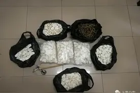 800元一斤的山药，吃了可以“治百病”？图片