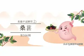桑树全身是宝，果实、叶、枝、皮、根都是常用的中药材图片