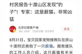 薮猫现身北京十渡，我国无此兽，为何会在野外发现？还对它保护？图片