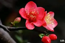 凡只要是喜欢长期吵架的夫妻，这样的家庭，到后来都怎么样了？图片