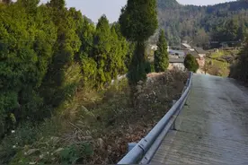 朋友圈点赞的微妙关系，为什么会让多情女子陷入万劫不复的深渊图片