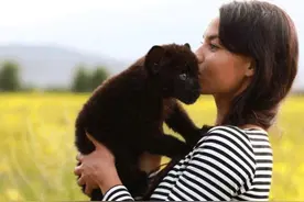 女子捡到一只小黑猫，养了段时间后觉得不太对：体型怎么比狗都大图片