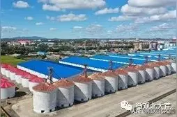 北大荒：“营”中求变涅槃重生｜北大荒集团“农场企业化改革与经营”纪事（下）图片