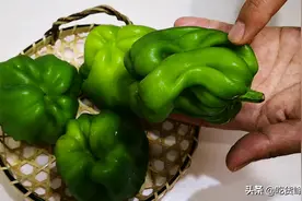 同样是青椒，激素和普通青椒有啥区别？卖菜大爷透露其中猫腻图片