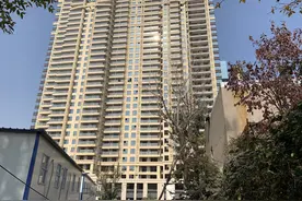 河南漯河拆迁怪象：政府边败诉边强拆，以违法换时间，村民被拽上车扔郊区回家后房子就没了图片