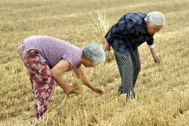 什么东西都舍不得扔掉，这是“病”！其实老年人也需要“断舍离”图片