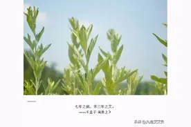 艾灸后上火怎么办？教你如何引火下行​图片