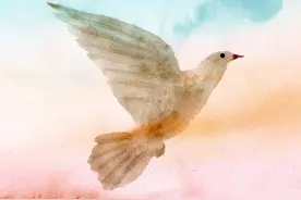 狐狸精、乌鸦嘴…动物为何总被“污名”？图片