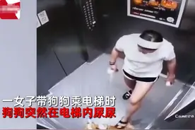 辽宁一狗狗电梯内尿尿，女主人气到脚踹教训，随后举动让网友点赞图片