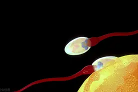 一针可管13年的男性避孕针进展如何？广东省生殖医院专家带你了解图片