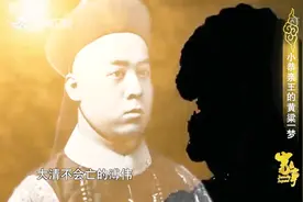 溥伟用这些手段筹集了大量钱财，为复辟大清，小恭亲王太疯狂了视频封面