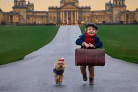 英伦小小帅哥携犬游欧州，一只皮箱两个宝贝，网友：太可爱了图片