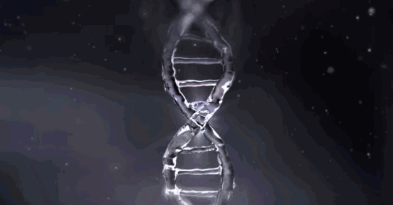 什么牌子胶原蛋白好效果最好 2026年五个女博士胶原蛋白肽可信吗＂,＂