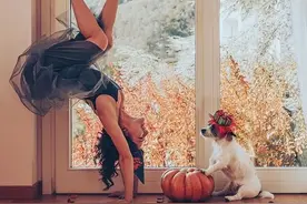 跟小动物们一起练瑜伽，瞬间被萌化…图片